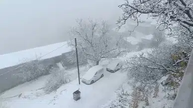 Türkiye'de o il beyaza büründü