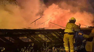 Ev yangında kül oldu