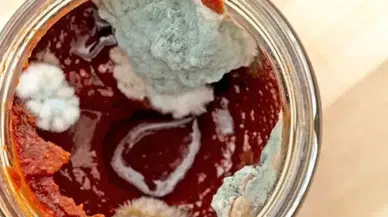 Salçanız Küflenmesin! Ev yapımı salça nasıl uzun süre taze kalır? İşte püf noktaları