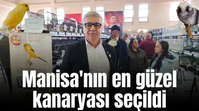 Manisa'nın en güzel kanaryası seçildi