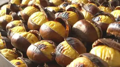 Tam Tutan Kestane Pişirme Yöntemleri: Fırından Airfryer’a Tüm Teknikler