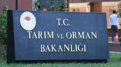 Tarım ve Orman Bakanlığı 496 Personel Alacak! Kadro Dağılımı Belli Oldu, Başvuru Ne Zaman?
