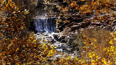 1 Kasım 2025 – Hoş Geldin Kasım! Duygusal, Anlamlı ve Resimli Kasım Ayı Mesajları, Şiirleri ve Sözleri