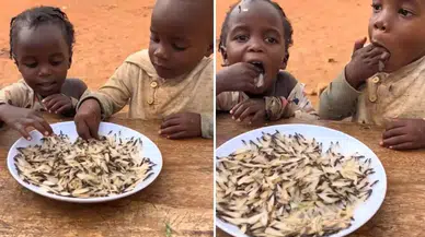 Yapay zeka değil gerçek! Yedikleri şeyi tahmin edemezsiniz