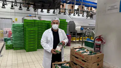 Manisa etlik tavuk yetiştiriciliğinde birinci sırada