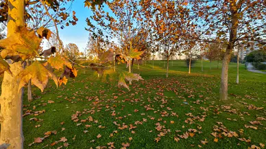 Manisa'dan sonbahar manzaraları