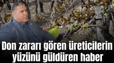 Manisa'da don zararı gören üreticilerin yüzünü güldüren haber