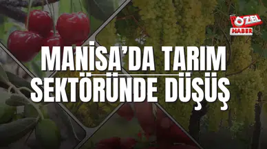 MANİSA’DA TARIM SEKTÖRÜNDE DÜŞÜŞ