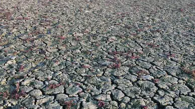 Manisa'da kuraklık riski artıyor