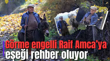 Görme engelli Raif Amca’ya eşeği rehber oluyor
