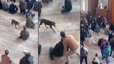 Camiye dalan pitbull cemaate zor anlar yaşattı