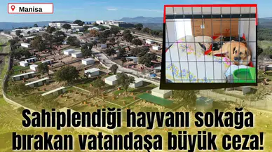 Sahiplendiği hayvanı sokağa bırakan vatandaşa büyük ceza!