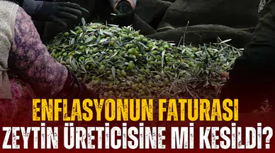 Enflasyonun faturası zeytin üreticisine mi kesildi?
