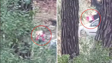 Sesleri duyup önce kayda aldı, sonra polisi aradı