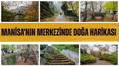 Manisa'nın merkezinde doğa harikası