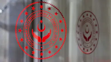 Aile ve Sosyal Hizmetler Bakanlığı 3 Bin Personel Alımı Başvuru Ekranı Açıldı: Kadrolar ve Şartlar Belli Oldu