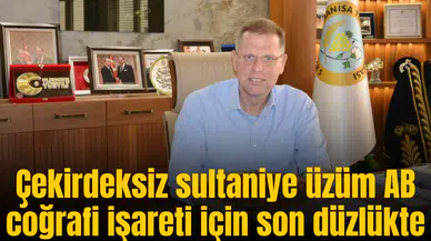 Çekirdeksiz sultaniye üzüm AB coğrafi işareti için son düzlükte