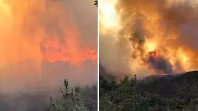 Orman yangını paniği! Bir mahalle tahliye edildi