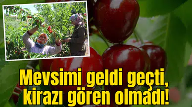 Mevsimi geldi geçti, kirazı gören olmadı!