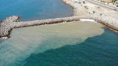 Denizi kaplayan beyaz tabaka tedirgin etti