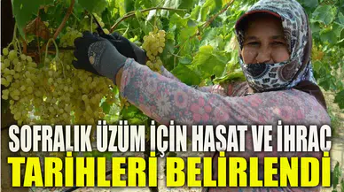 SOFRALIK ÜZÜM İÇİN HASAT VE İHRAÇ TARİHLERİ BELİRLENDİ