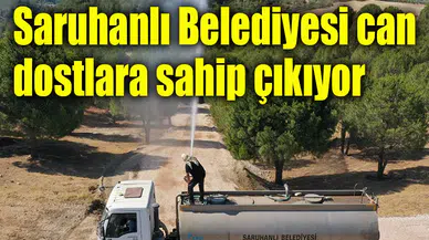 Saruhanlı Belediyesi can dostlara sahip çıkıyor