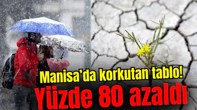 Manisa'da korkutan tablo! Yüzde 80 azaldı!