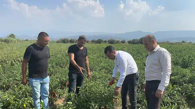 Başevirgen, üreticileri ziyaret etti: Bu düzen çiftçiyi bitirir