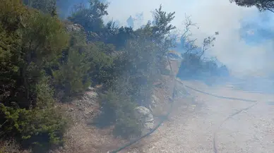 Manisa'da korkutan orman yangını büyümeden söndürüldü