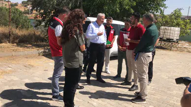 Sokak hayvanları doğal yaşam alanlarına denetim