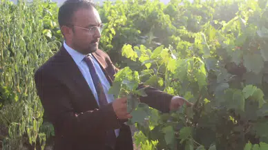 Başkan İksir'den Tariş Üzüm Birliği'ne sert tepki