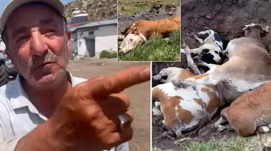 Günlerdir felaketi yaşayan şehirde vatandaşlardan olay iddia