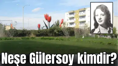 Neşe Gülersoy kimdir?