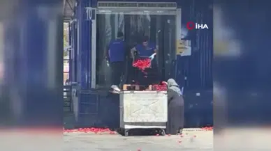 Kasa kasa domatesi neden çöpe döktüler?
