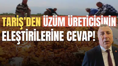TARİŞ'DEN ÜZÜM ÜRETİCİSİNİN ELEŞTİRİLERİNE CEVAP!