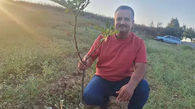 Kırsal bölgelerin ihracat meyvesi: Sarılop incir