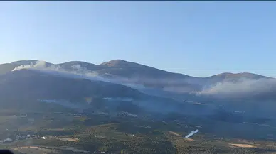 Şehzadeler’deki orman yangını kontrol altına alındı