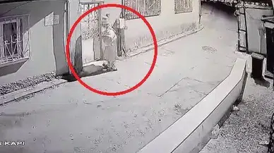 Palyaço dehşeti: Mahalle korku içinde