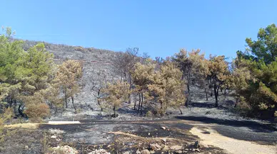 Manisa'daki yangınla alakalı 1 kişi tutuklandı