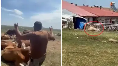 Bir ilimizde durum vahim! "Nerede bu yetkililer?" diyerek isyan etti: Allah sen yardım et