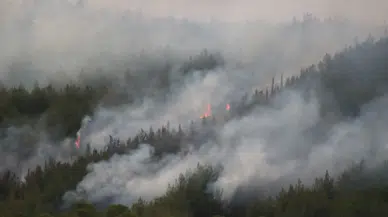 Çanakkale küle dönüyor