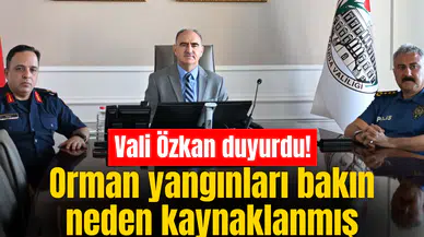 Vali Özkan: Orman yangınlarının çoğu insan kaynaklı