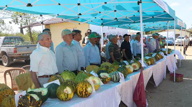 Kula'da ilk kez kavun festivali düzenlendi