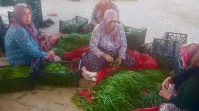 Su sorunu çiftçileri alternatif ürüne yöneltti