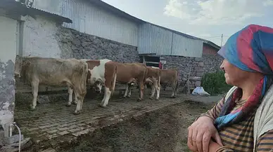 Özkaya'dan şap hastalığı için kritik uyarı