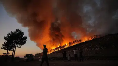Hepimiz gerçek sanıyorduk ama şehir efsanesi çıktı