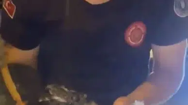 Kanalizasyonda mahsur kalmıştı itfaiye ekipleri tarafından kurtarıldı