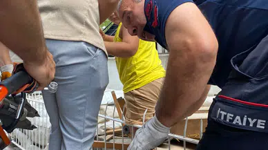 Üzerinden atlamak isterken korkuluk ayağına saplandı