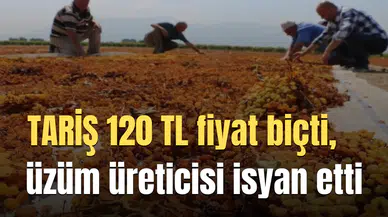 TARİŞ 120 TL fiyat biçti, üzüm üreticisi isyan etti