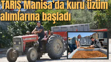 TARİŞ Manisa’da kuru üzüm alımlarına başladı